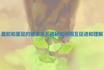 属蛇和属鼠的姐弟关系揭秘如何相互促进和理解 属蛇和属鼠的姐弟关系揭秘如何相互促进和理解