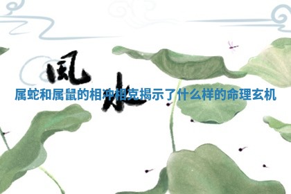 属蛇和属鼠的相冲相克揭示了什么样的命理玄机 属蛇和属鼠的相冲相克揭示了什么样的命理玄机