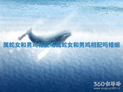 属蛇女和男鸡相配吗 属蛇女和男鸡相配吗婚姻