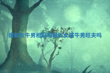 属蛇女牛男相配吗_属蛇女属牛男旺夫吗