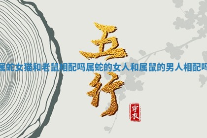属蛇女猫和老鼠相配吗_属蛇的女人和属鼠的男人相配吗