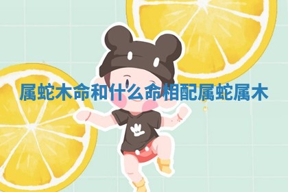 属蛇木命和什么命相配 属蛇属木 属蛇木命和什么命相配 属蛇属木