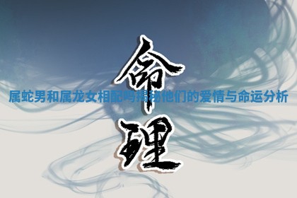 属蛇男和属龙女相配吗揭秘他们的爱情与命运分析