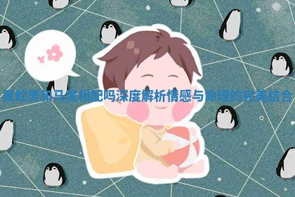 属蛇男和马属相配吗深度解析情感与命理的完美结合