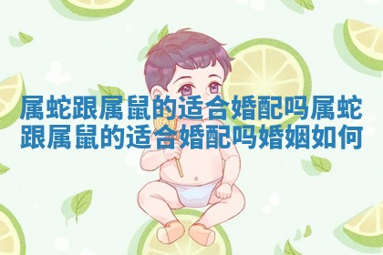 属蛇跟属鼠的适合婚配吗 属蛇跟属鼠的适合婚配吗婚姻如何