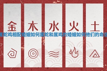 属蛇鸡相配婚姻如何_属蛇和属鸡的婚姻如何他们的命运