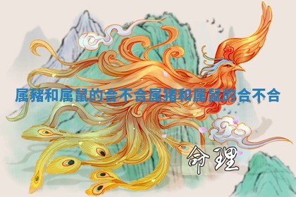 属豬和属鼠的合不合_属猪和属鼠的合不合 属豬和属鼠的合不合_属猪和属鼠的合不合