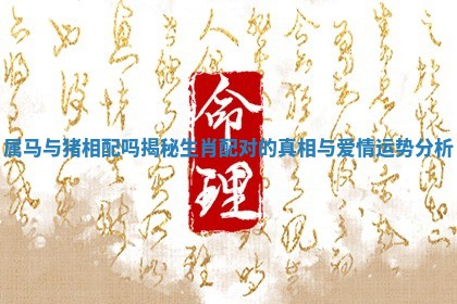 属马与猪相配吗揭秘生肖配对的真相与爱情运势分析