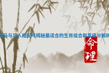 属马与马人相配吗揭秘最适合的生肖组合和其缘分解析