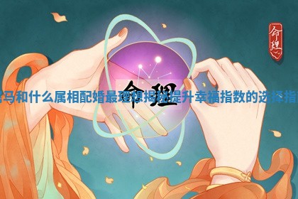 属马和什么属相配婚最理想揭秘提升幸福指数的选择指南