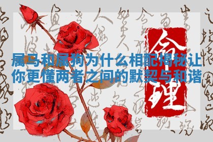 属马和属狗为什么相配揭秘让你更懂两者之间的默契与和谐