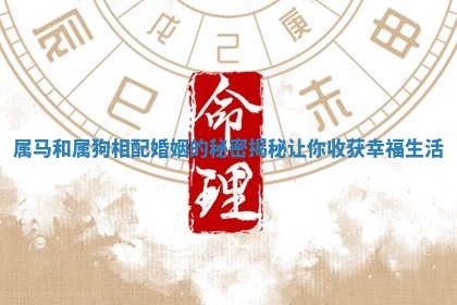 属马和属狗相配婚姻的秘密揭秘让你收获幸福生活