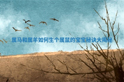 属马和属羊如何生个属鼠的宝宝秘诀大揭秘