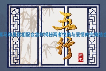 属马和属鼠相配会怎样揭秘两者性格与爱情的完美结合