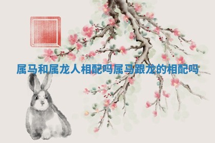 属马和属龙人相配吗_属马跟龙的相配吗