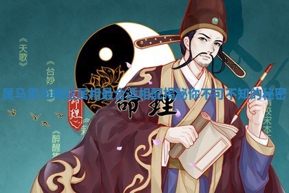 属马男与哪些属相最合适相配揭秘你不可不知的秘密