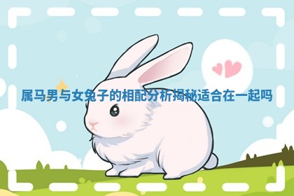 属马男与女兔子的相配分析揭秘适合在一起吗