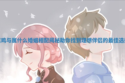 属鸡与属什么婚姻相配揭秘助你找到理想伴侣的最佳选择