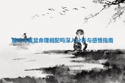 属鸡与属鼠命理相配吗深入分析与感情指南