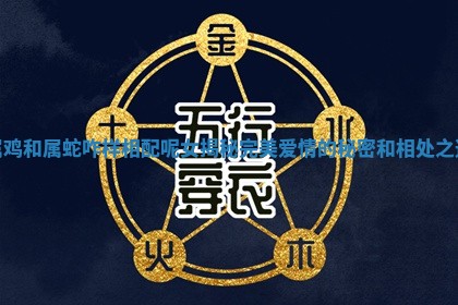 属鸡和属蛇咋样相配呢女揭秘完美爱情的秘密和相处之道