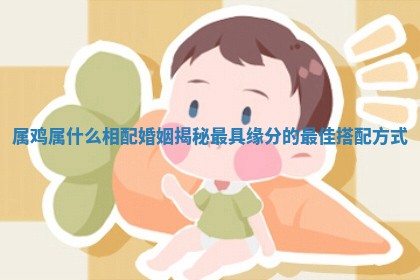 属鸡属什么相配婚姻揭秘最具缘分的最佳搭配方式