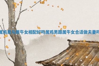 属鸡男与属牛女相配好吗 属鸡男跟属牛女合适做夫妻吗