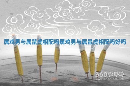 属鸡男与属鼠虎相配吗 属鸡男与属鼠虎相配吗好吗