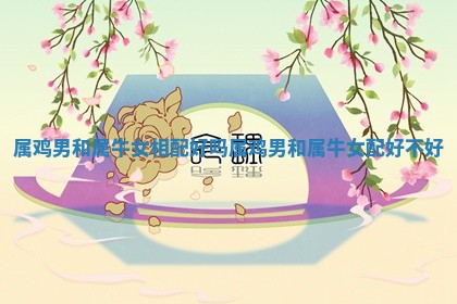 属鸡男和属牛女相配好吗 属鸡男和属牛女配好不好