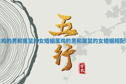 属鸡的男和属鼠的女婚姻_属鸡的男和属鼠的女婚姻相配吗