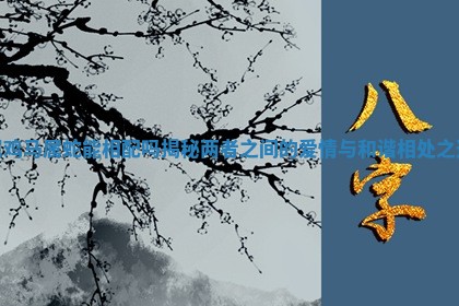 属鸡马属蛇能相配吗揭秘两者之间的爱情与和谐相处之道