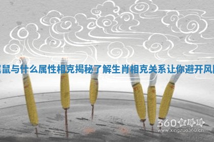 属鼠与什么属性相克揭秘 了解生肖相克关系让你避开风险
