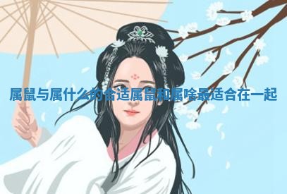 属鼠与属什么的合适_属鼠和属啥最适合在一起