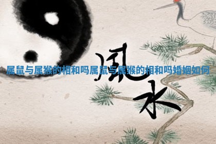 属鼠与属猴的相和吗_属鼠与属猴的相和吗婚姻如何