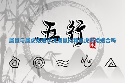 属鼠与属虎婚姻状况_属鼠的和属虎的婚姻合吗