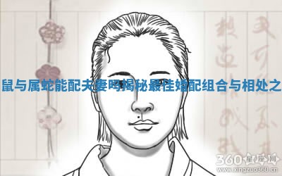 属鼠与属蛇能配夫妻吗揭秘最佳婚配组合与相处之道