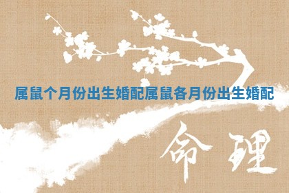 属鼠个月份出生婚配 属鼠各月份出生婚配