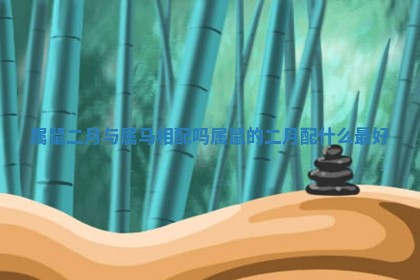属鼠二月与属马相配吗 属鼠的二月配什么最好