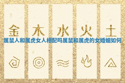 属鼠人和属虎女人相配吗_属鼠和属虎的女婚姻如何