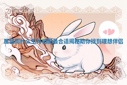 属鼠同什么生肖相配最合适揭秘助你找到理想伴侣