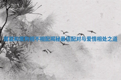 属鼠和属狗相不相配揭秘最佳配对与爱情相处之道 属鼠和属狗相不相配揭秘最佳配对与爱情相处之道