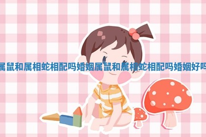 属鼠和属相蛇相配吗婚姻_属鼠和属相蛇相配吗婚姻好吗