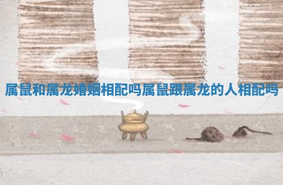 属鼠和属龙婚姻相配吗_属鼠跟属龙的人相配吗