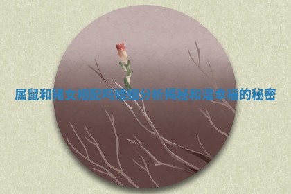 属鼠和猪女相配吗婚姻分析揭秘和谐幸福的秘密