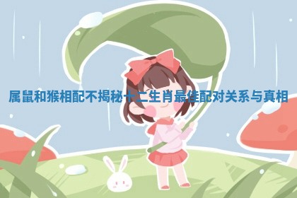 属鼠和猴相配不揭秘十二生肖最佳配对关系与真相