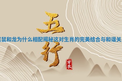 属鼠和龙为什么相配揭秘这对生肖的完美结合与和谐关系