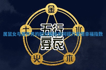 属鼠女与属牛男的配对解析如何提升爱情幸福指数