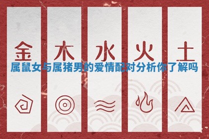 属鼠女与属猪男的爱情配对分析你了解吗