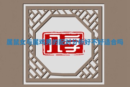 属鼠女与属鸡男的配对分析好不好适合吗