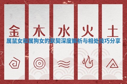 属鼠女和属狗女的默契深度解析与相处技巧分享