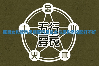属鼠女和鼠狗男相配吗 属鼠女与属狗男婚配好不好